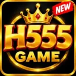 h555 game